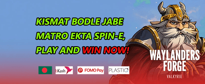 ডেইলি স্পিন বোনাস promotion